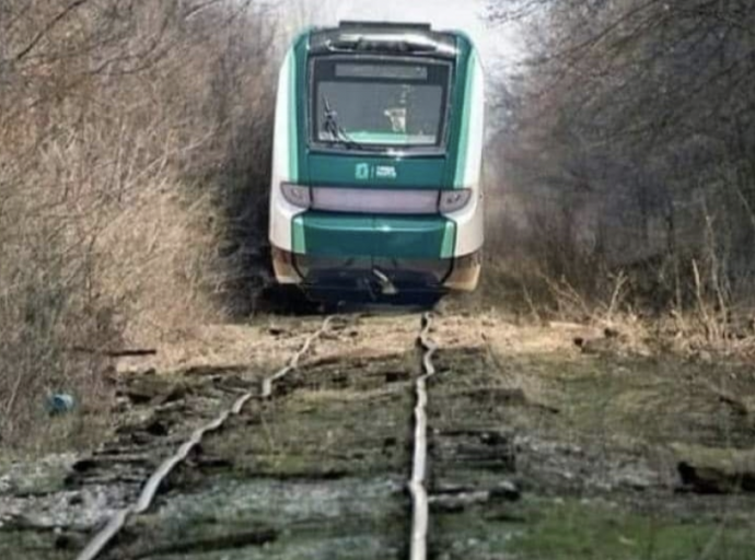 El Tren Temu del Peje